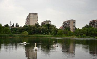 Ужгород. Утопленика знайшли на озері «Кірпічка»
