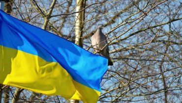 Украинцев, готовых к территориальным уступкам, стало больше