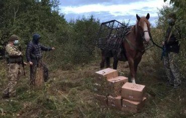 "Лошадь Пржевальского" с контрабандой на границе Ураины остановила только автоматная очередь