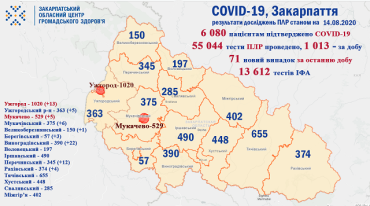 Количество новых случаев коронавируса в Закарпатье не уменьшается: Статистика на 14 августа