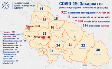 +11 випадків коронавірусу додалося за минулу добу в Закарпатті: Статистика на 20 травня