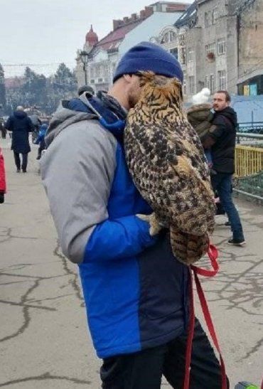 Жители Ужгорода возмутились «издевательством» над совами на пешеходном мосту