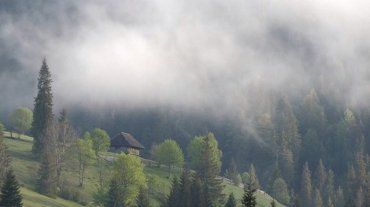 Отпуск в Закарпатье: Горные пейзажи, которые не уступают швейцарским