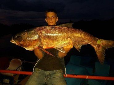 В Закарпатье местный житель похвастался громадной рыбой: Пользователи соцсети усомнились