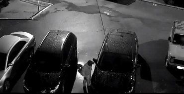 Видео момента кражи из авто на Шахте в Ужгороде опубликовали в сети.