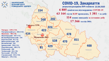 В Закарпатье за прошедшие сутки умерло трое больных с диагнозом COVID-19: Данные на 22 августа