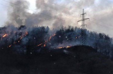 В горах, возле закарпатского села Сусково горит лес