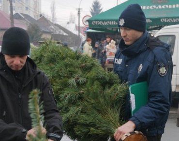 Недобросовестных продавцов елок в Ужгороде штрафуют