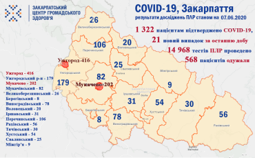 В Закарпатье умер 31 человек с подтвержденным диагнозом COVID-19