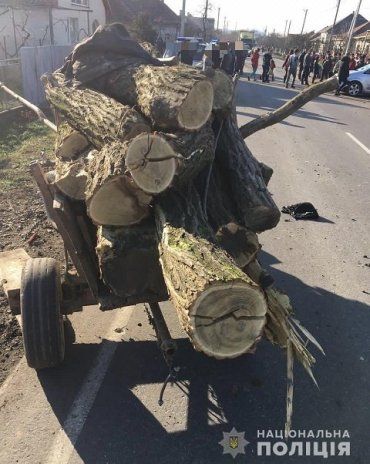 Трагическая авария в Закарпатье: Стали известны обстоятельства ДТП, в котором погиб подросток