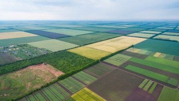 Махинации с землей в Закарпатье: Прокуратура Ужгорода вернула государству 172 гектара земли