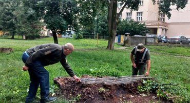 "Черные" лесорубы промышляют в центре Ужгорода 