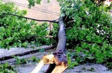 В Закарпатье спасатели рассказали, что натворила вчерашняя гроза