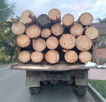 В Закарпатье полиция задержала 4 грузовика с подозрительной древесиной 
