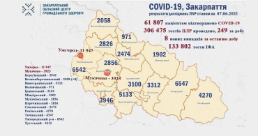 В Закарпатье за день ковидом заболели всего 8 человек: Статистка в Ужгороде на 7 июня