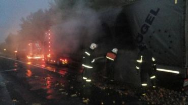 Рятувальники Закарпаття гасили пожежу в автомобілі на трасі Чоп-Київ (ФОТО) 