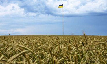 Европейские соседи Украины хотят продлить зерновое эмбарго до конца года