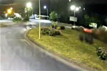 ДТП в Ужгороде: Экстремальный "перелет" через круг поймали камеры наблюдения