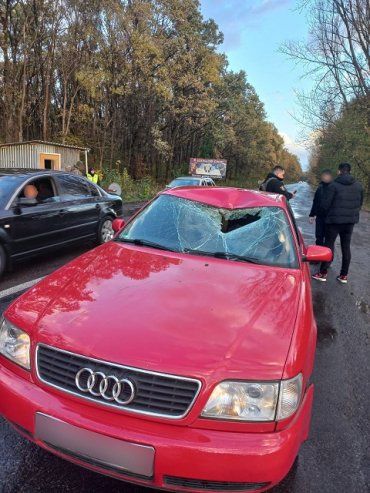 Очередное ДТП на блокпосту: В Закарпатье Audi снес пограничника