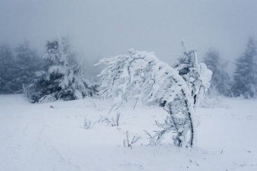 Опасность, гололедица и снег: Зима в Закарпатье таки придет