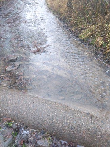 Без резиновых сапог не пройдешь: В Закарпатье дорога буквально превратилась в сплошную реку 