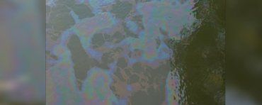В Ужгороде прокомментировали появление неизвестных пятен в воде Ужа