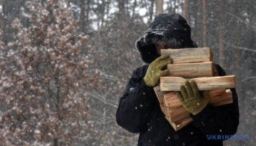 В Венгрии вступает в силу запрет на вывоз дров