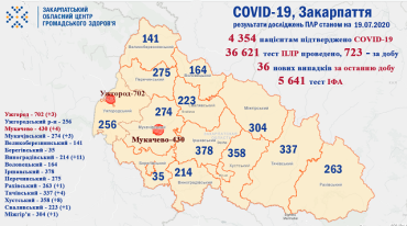В Закарпатье Виноградовский и Хустский районы лидируют по новым случаям COVID-19: Данные на 18 июля