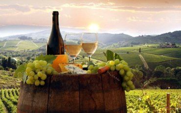 Отмена пошлин на импорт вина из ЕС ударит по украинским виноделам, - эксперт