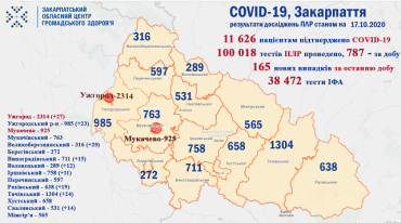 В Закарпатье по новым случаям COVID-19 лидируют Ужгород, Ужгородский и Тячевский районы: Данные на 17 октября