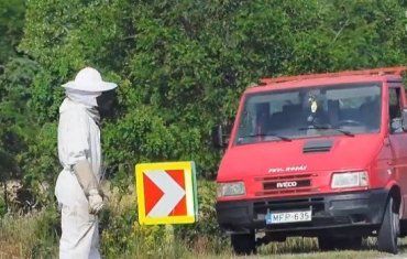 В Венгрии дорогу заполонили десятки тысяч пчел: Перевернулся грузовик с ульями