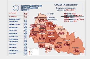 В Закарпатье по новым случаям коронавируса лидирует Воловецкий район