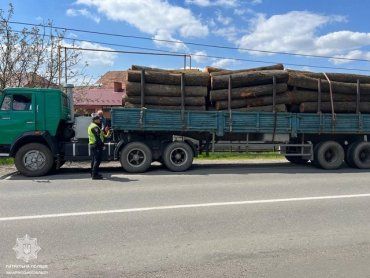 Полный грузовик незаконной древесины поймали в Закарпатье