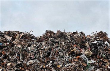 Более 900 000 ущерба окружающей среде заплатит предприятие в Закарпатье 
