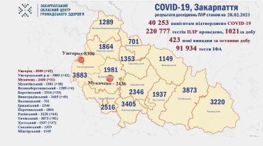 В Закарпатье по новым случаям COVID-19 лидируют Тячевский и Раховский районы: Данные на 28 февраля