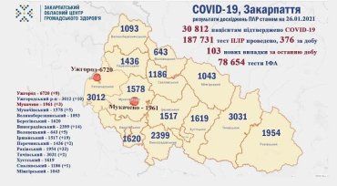 В Закарпатье по новым случаям COVID-19 лидируют Раховский и Иршавский районы: Данные на 26 января