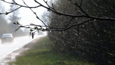 В пятницу на территории Украины ожидаются дожди и грозы