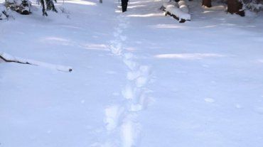 Спецоперация по спасению туриста в Закарпатье: Найдены следы бедолаги, но есть одно "но"