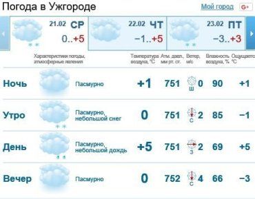 21 февраля в Ужгороде будет облачно, мелкий дождь