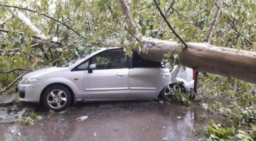 В Венгрии бушует ураган: Вырваны деревья, порваны электропровода
