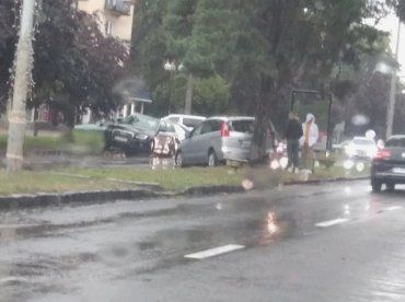 Для водителя в Ужгороде "встреча" его автомобиля с деревом была ну очень неожиданной