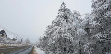 Прогноз погоди в Закарпатті на четвер, 20 грудня