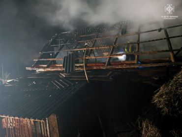  В Закарпатье пожарные начали новый год со спасения козы