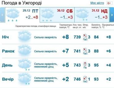 29 декабря в Ужгороде будет облачно, дождь