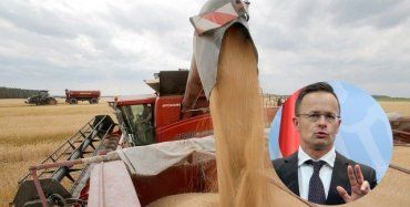 Венгрия готова вывозить зерно из Украины через свою территорию