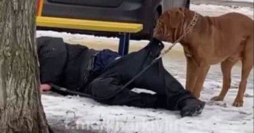 В Харькове пес пытался не дать своему хозяину-пьянице замерзнуть под лавкой