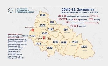 В Закарпатье с начала эпидемии заболели коронавирусом больше 28 000 человек: Статистика на 1 января
