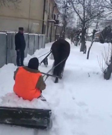  Креатив зашкаливает: Во Львовской области коммунальщик расчищал снег альтернативным способом 