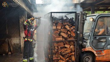 В Закарпатье в помещении для сушки древесины вспыхнул пожар