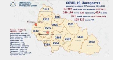 В Закарпатье за минувшие сутки умерли 4 больных с диагнозом COVID-19: Данные на 28 марта